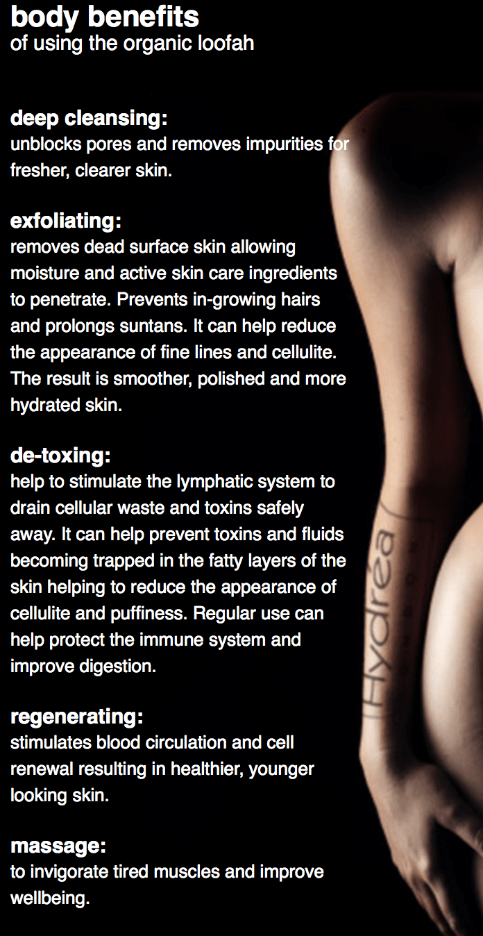 Organic Egyptian Loofah Body Pad 15cm Retail Hydrea London